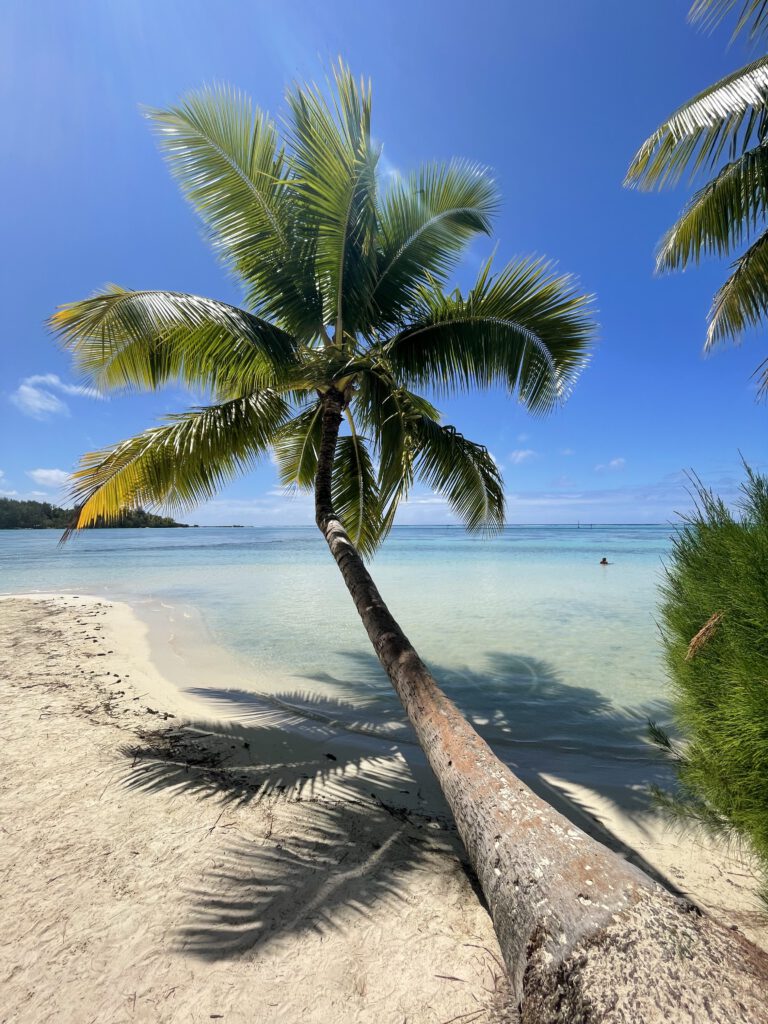 Strand Tipaniers Moorea